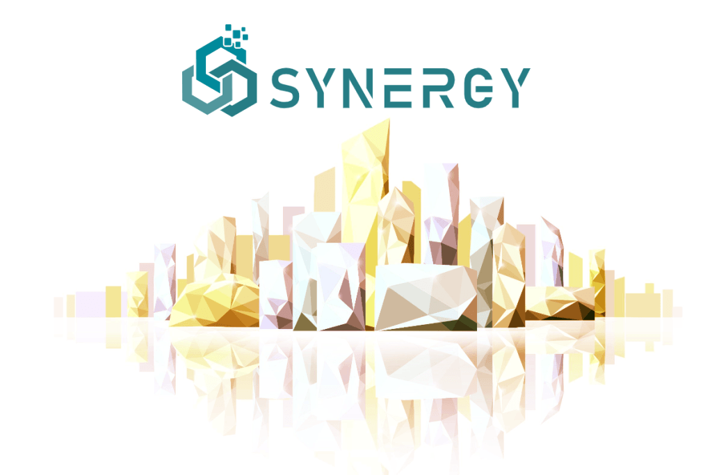 progetto Synergy